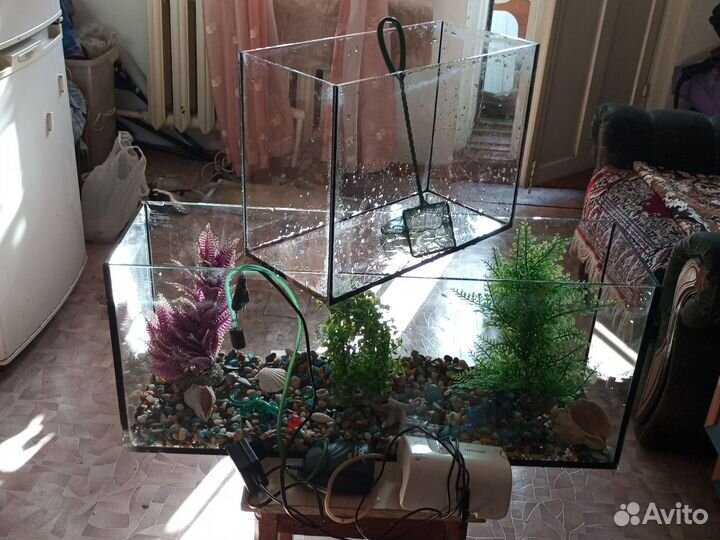 Аквариум