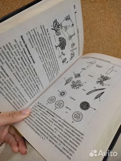 Репетитор по биологии учебник