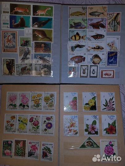 Коллекция почтовых марок