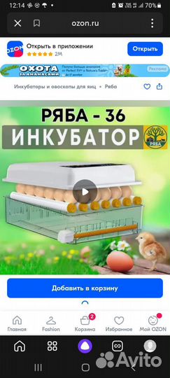 Инкубатор