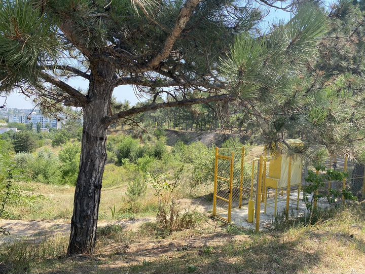 Участок 6,3 сот. (СНТ, ДНП)