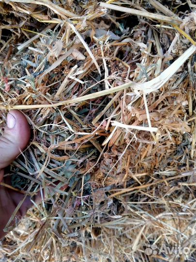 Сено в тюках