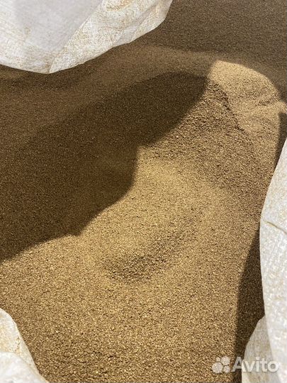 Барда пшеничная