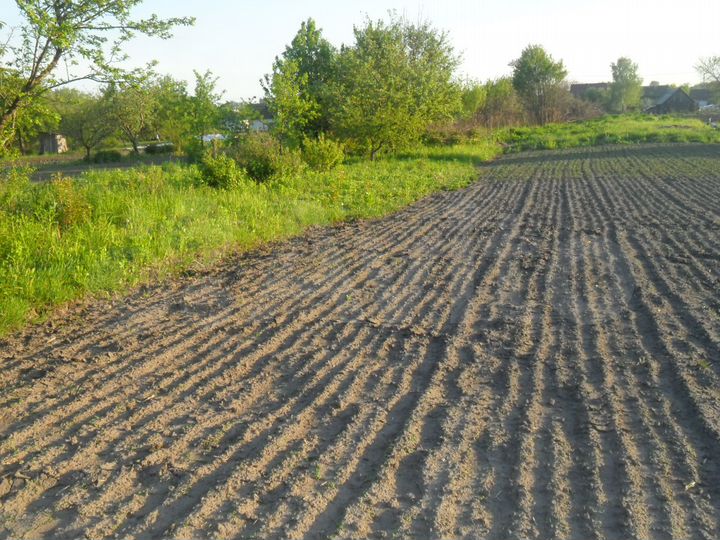 Участок 15 сот. (ИЖС)