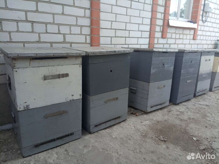 Улей для пчел бу