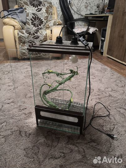 Террариум для рептилий