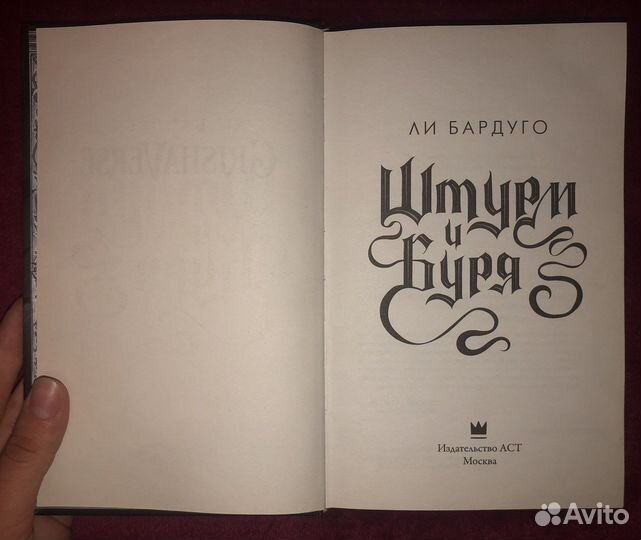 Книга «Штурм и Буря»