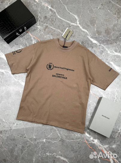 Футболка мужская Balenciaga