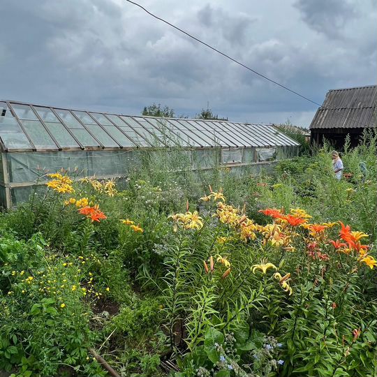 Дача 50 м² на участке 5 сот.