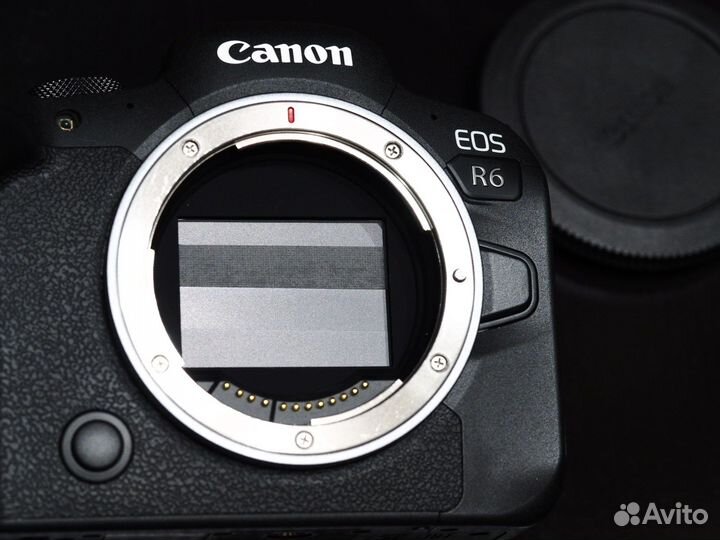 Canon EOS R6 на гарантии