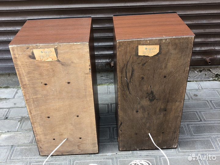 Акустика колонки Вега 50 ас-106