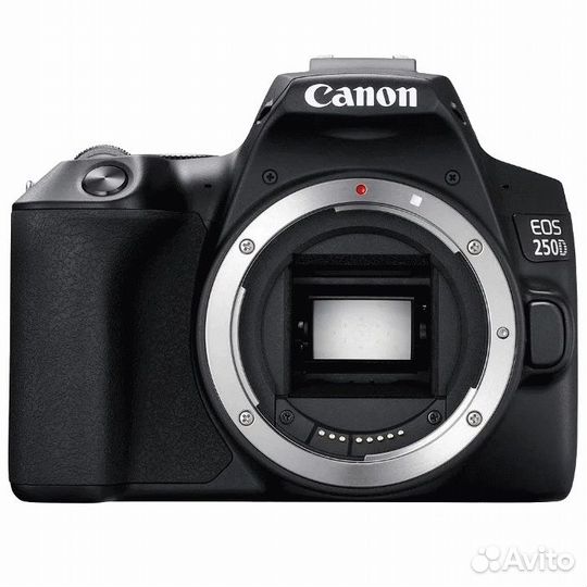 Цифровая камера Canon EOS 250D body