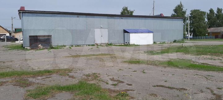 Торговая площадь, 250.3 м²