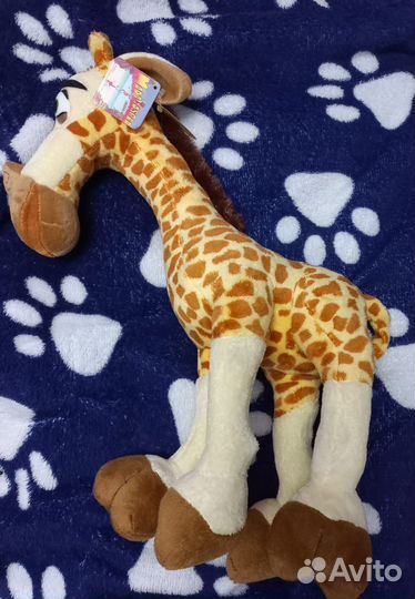 Мэлман из Мадагаскара