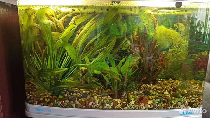 Аквариум с тумбой jebo R375