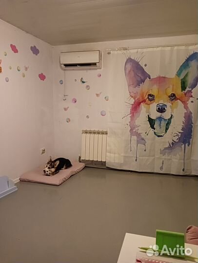 Передержка домашних животных.зооинженер,кинолог