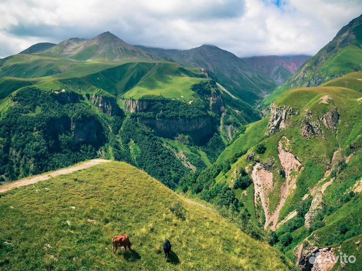 Экскурсия — Тбилиси — Грузинская душа Кахетия