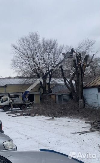 Спил и обрезка деревьев