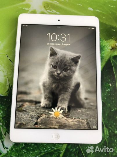 Apple iPad mini 16gb wi fi cellular