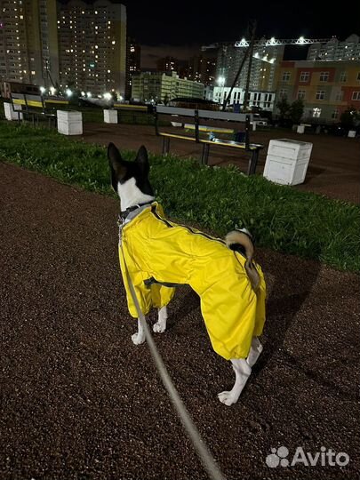 Комбинезон демисезонный для собаки (кобель)