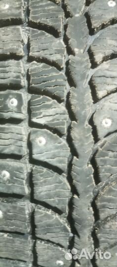 КАМА 505 Irbis 195/65 R15