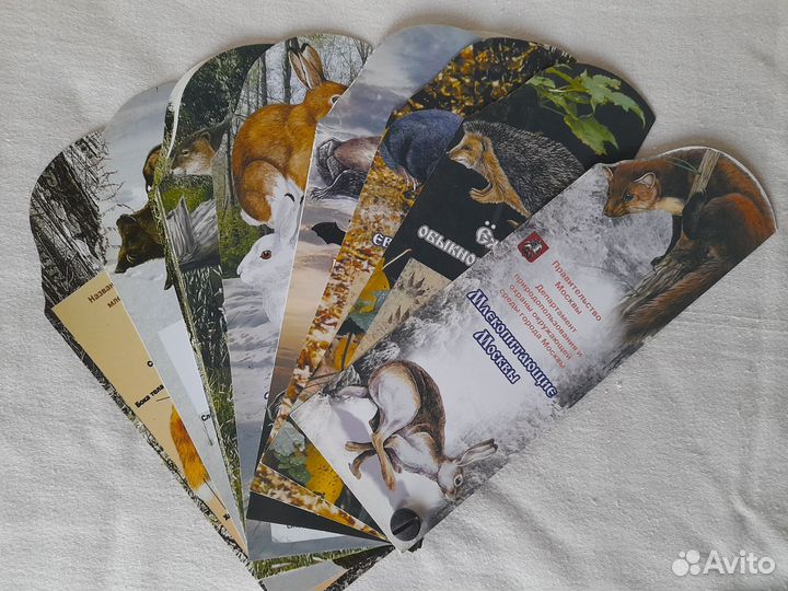 Тематические карточки