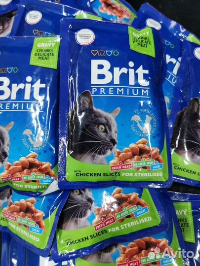 Brit premium и care сухой и влажный для кошек