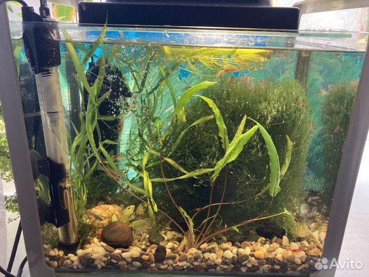 Обслуживание аквариумов