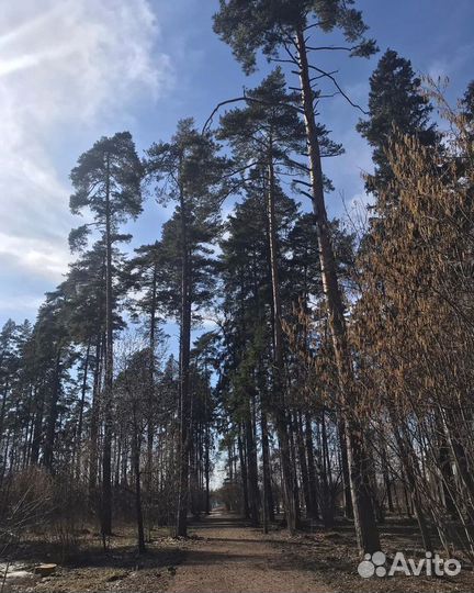 Экскурсия в Переделкино на английском языке