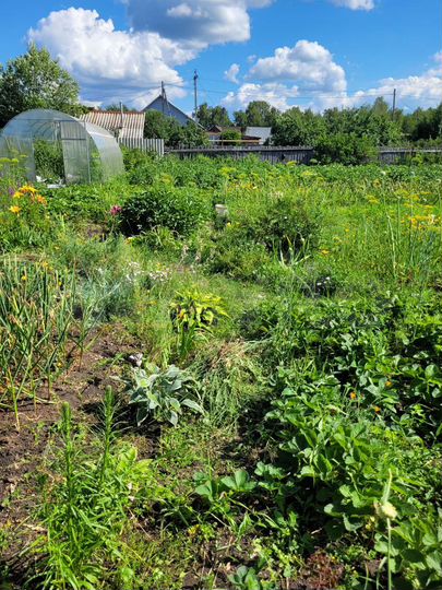 Участок 11,2 сот. (ИЖС)