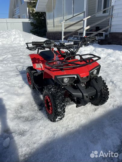 Квадроцикл Mini Hardy 4T