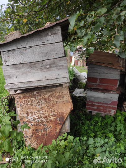 Клетка для кролика большая маточная