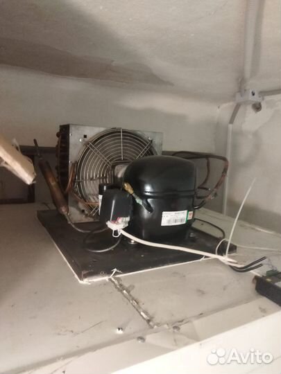 Холодильная камера для цветов бу