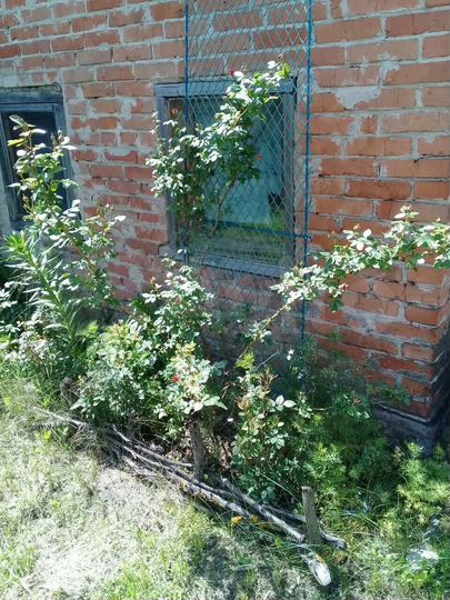 Дом 90 м² на участке 5 сот.