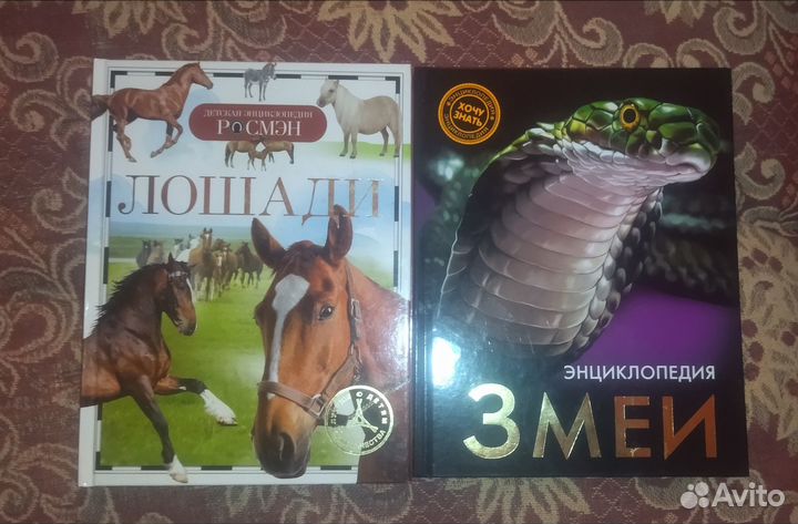 Энциклопедия для детей