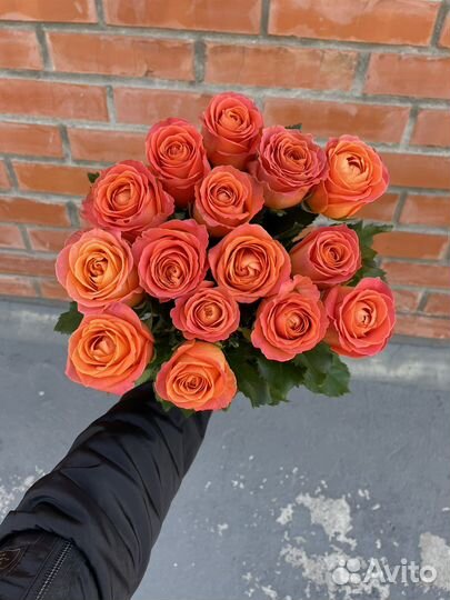 Коралловая роза 15 шт. 70см Доставка