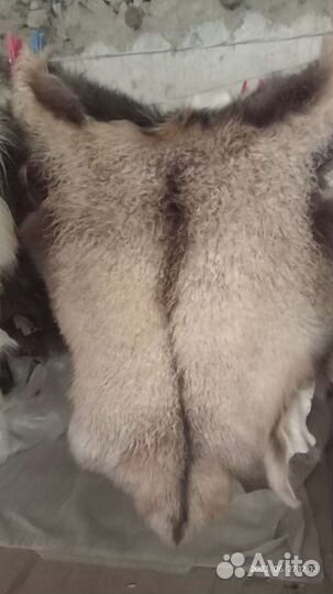 Шкура козы