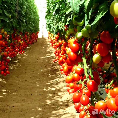 Разнорабочие/вахта 15 смен с проживанием