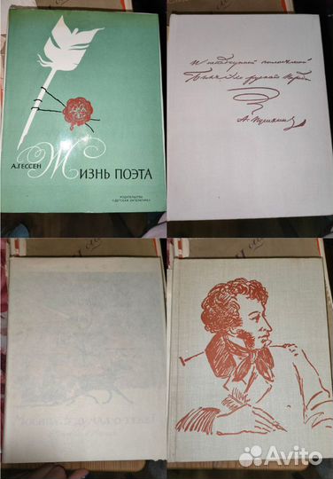 Книги о А. Пушкине