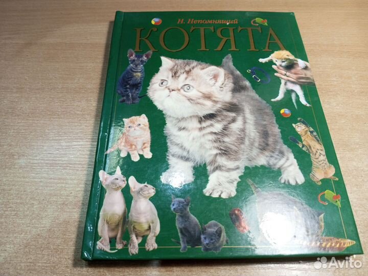 Непомнящий. Котята