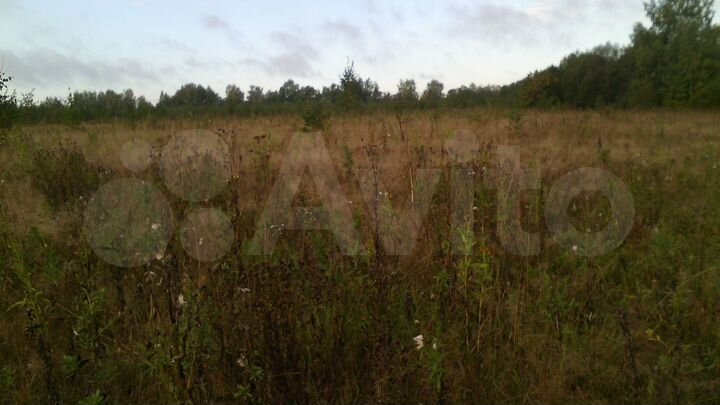 Участок 8,7 га (СНТ, ДНП)