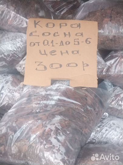 Кора продается