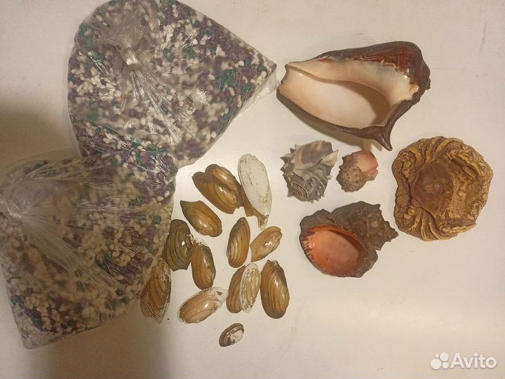 Краб для аквариума пепельница черепашек акворимум