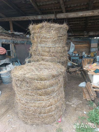Сено в рулонах 2023