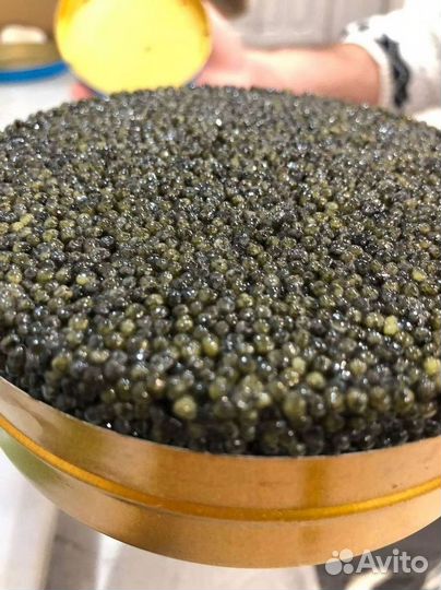 Астраханская черная икра