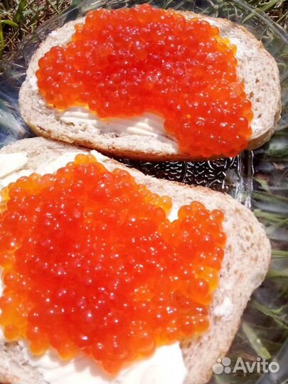 Рыба чавыча сëмга нерка кижуч горбуша икра красная