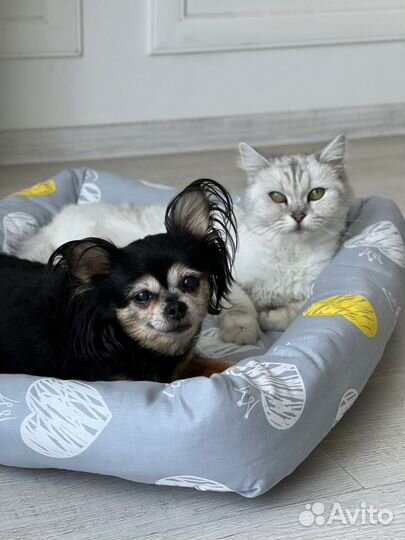 Лежанки Новые