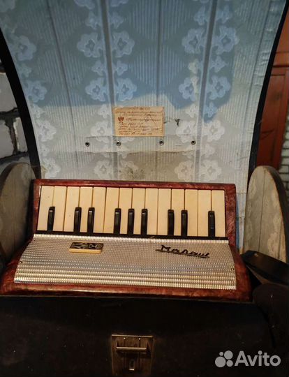 Аккордеон Малыш
