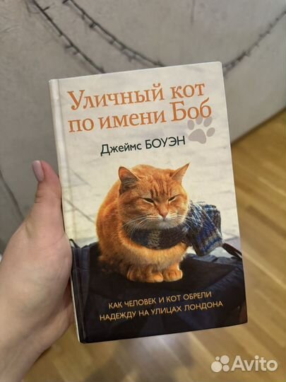 Книга Уличный кот по имени Боб