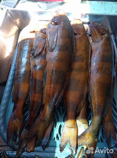 Рыба горячего копчения